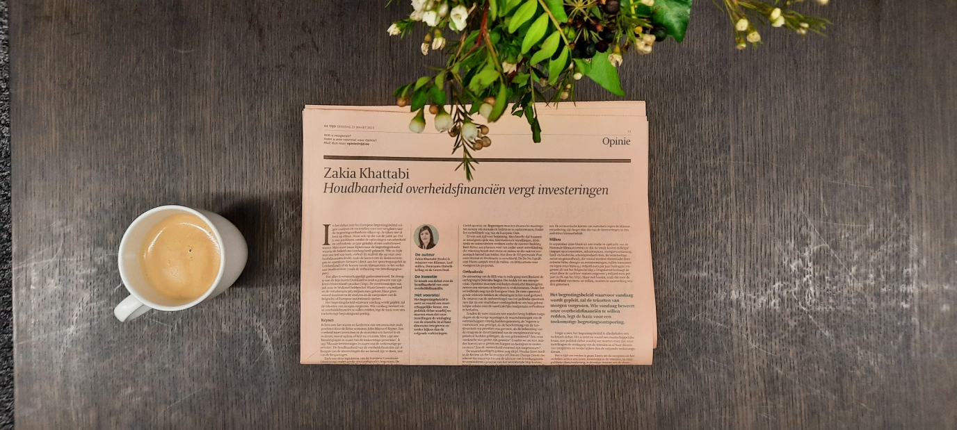 Publication in De Tijd