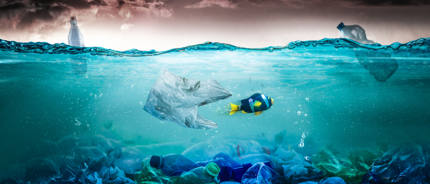 Image illustrant la pollution sous-marine