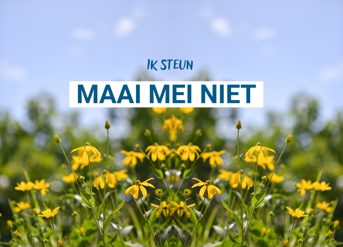 Je soutiens Maai Mei Niet