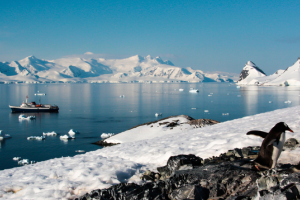 PB | Dankzij Zakia Khattabi neemt België voortrekkersrol op voor de bescherming van de biodiversiteit op Antarctica