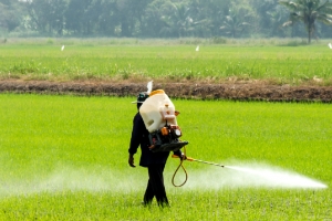 PR | Zakia Khattabi urges an end to the misuse of the pesticide exemption system.