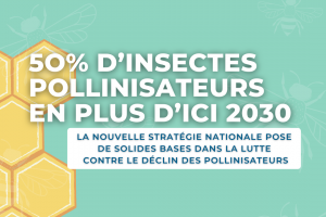 CP | Zakia Khattabi se réjouit d’une stratégie nationale qui pose de solides bases dans la lutte contre le déclin des pollinisateurs