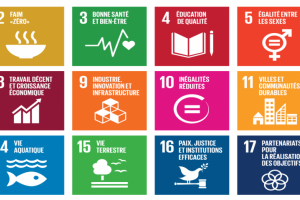 Federal policy guided by the SDGs 