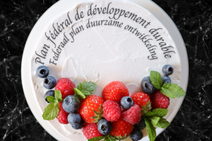 Belgium adopts an ambitious federal plan for sustainable development