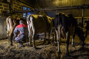 De Standaard | Klimaatneutraal België in 2050: haalbaar, maar niet makkelijk