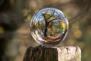 Urgentie biodiversiteit: het collectief bewustzijn aanwakkeren