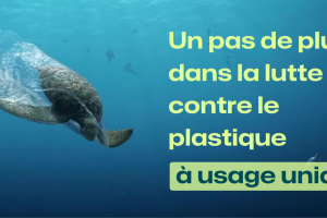 Plus de réutilisation et de recyclage, moins de plastiques à usage unique